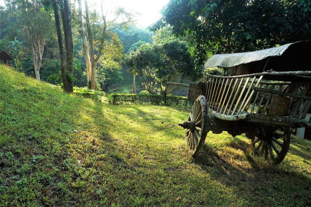 Backyard can walk to the hilly area and mountain behind the villa.