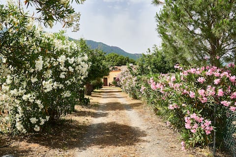 Villa under the oaks - CIN IT092099C2000P1787