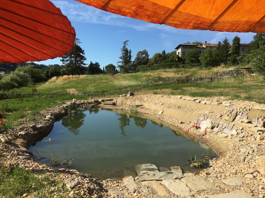 Bio-lake