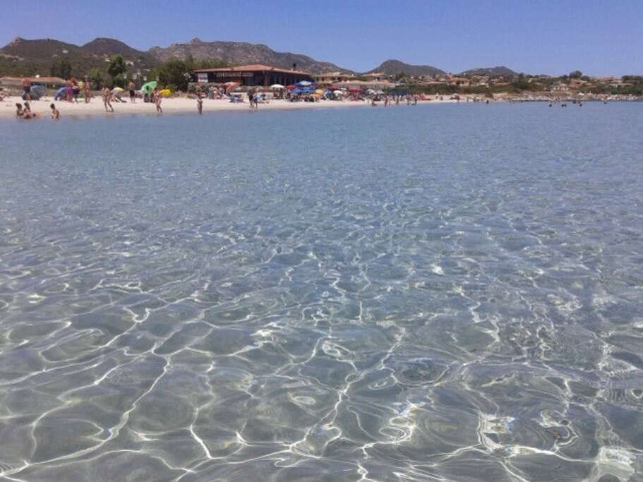 mare