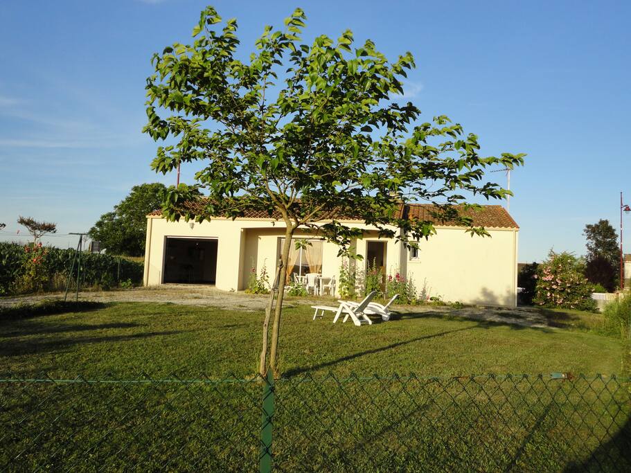 façade ouest, jardin