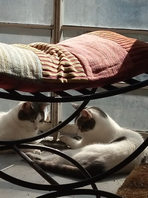 Ambroise&Oussia