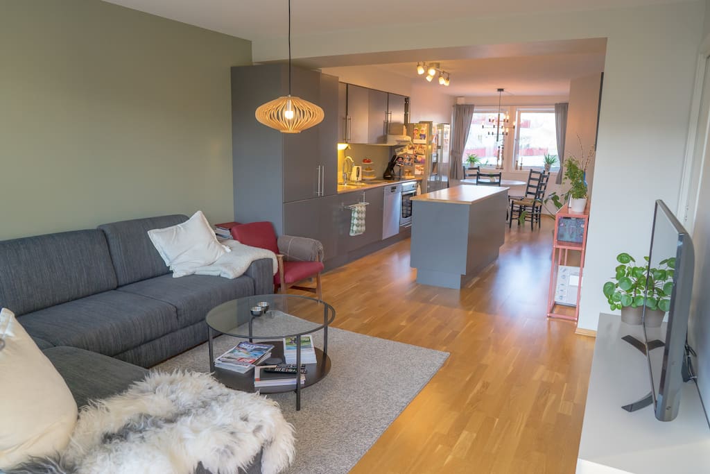 Living room and kitchen