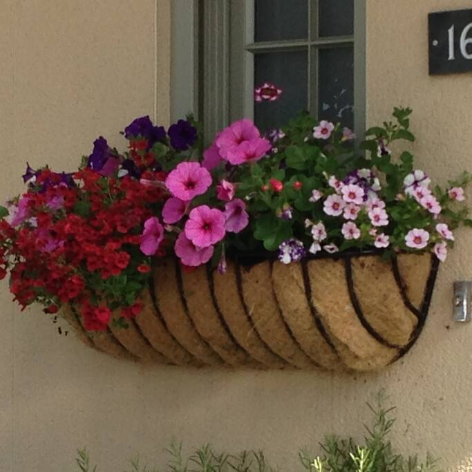 Summer Flowers