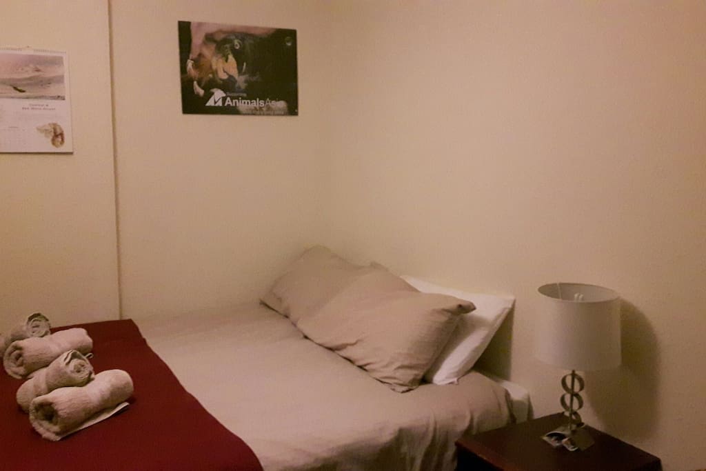 Freshly painted for the new year
