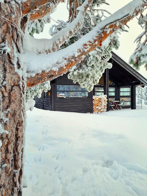 Beautiful cabin, lovely views. Norefjell's sunny side