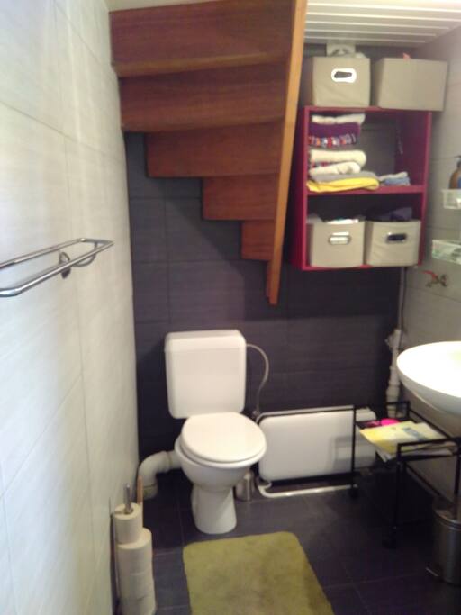 The bath room at the ground floor
