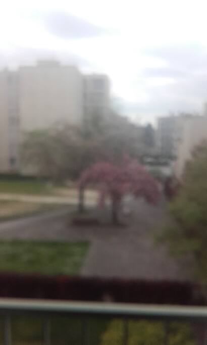 vue d séjour sur le jardin commun