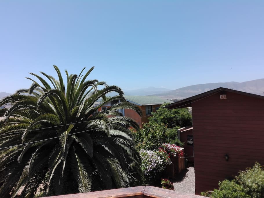 Vista de la terraza