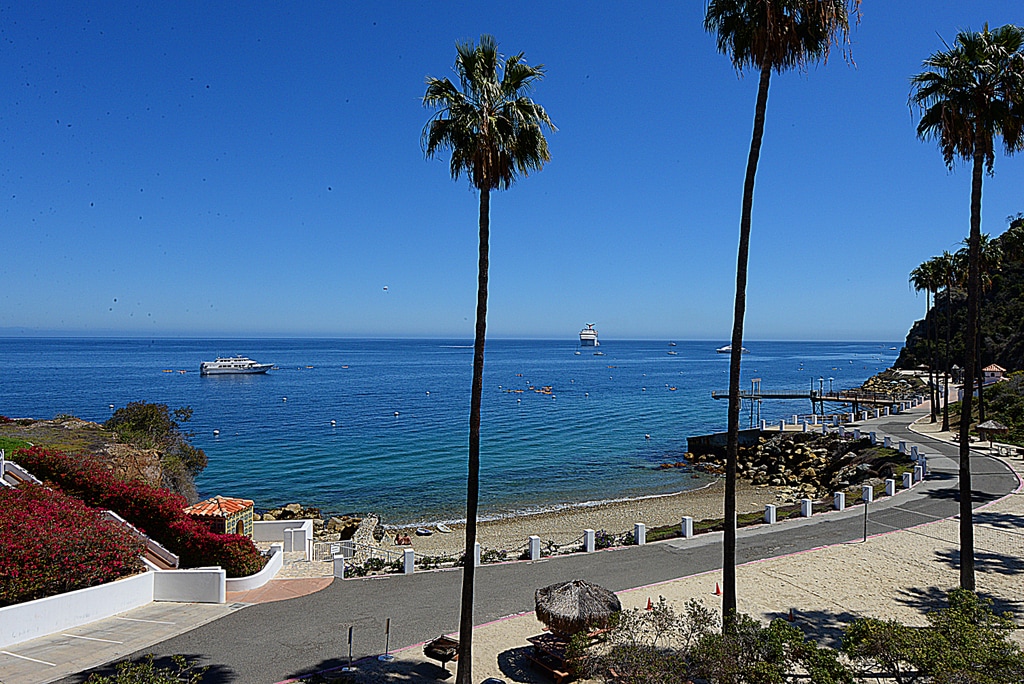 An expansive ocean view is captured, showcasing gentle waves lapping against the shoreline. Palm trees frame the foreground, while boats can be seen gliding across the clear blue water. The sandy beach and rocky outcroppings add natural texture to the serene coastal scene.