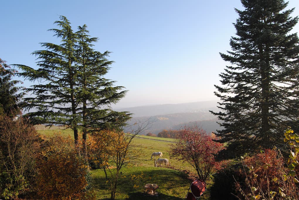 Garten mit Aussicht