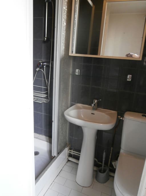 salle d'eau avec wc