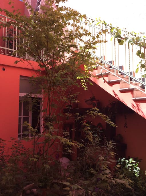 patio