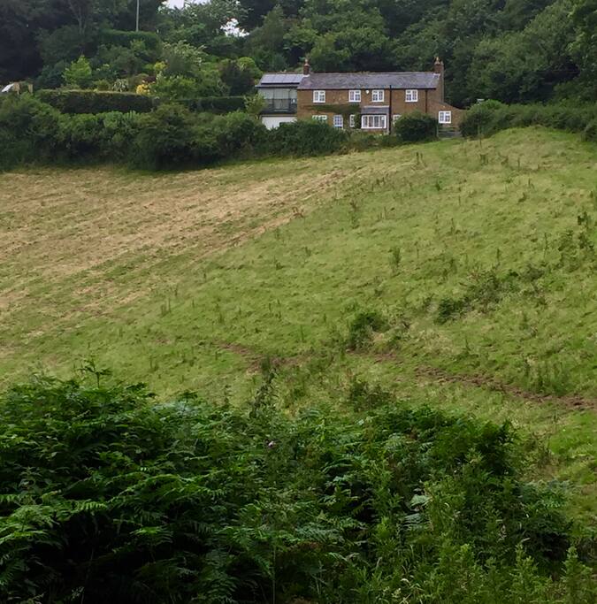 The House