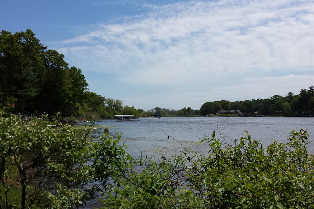 Bayou Views