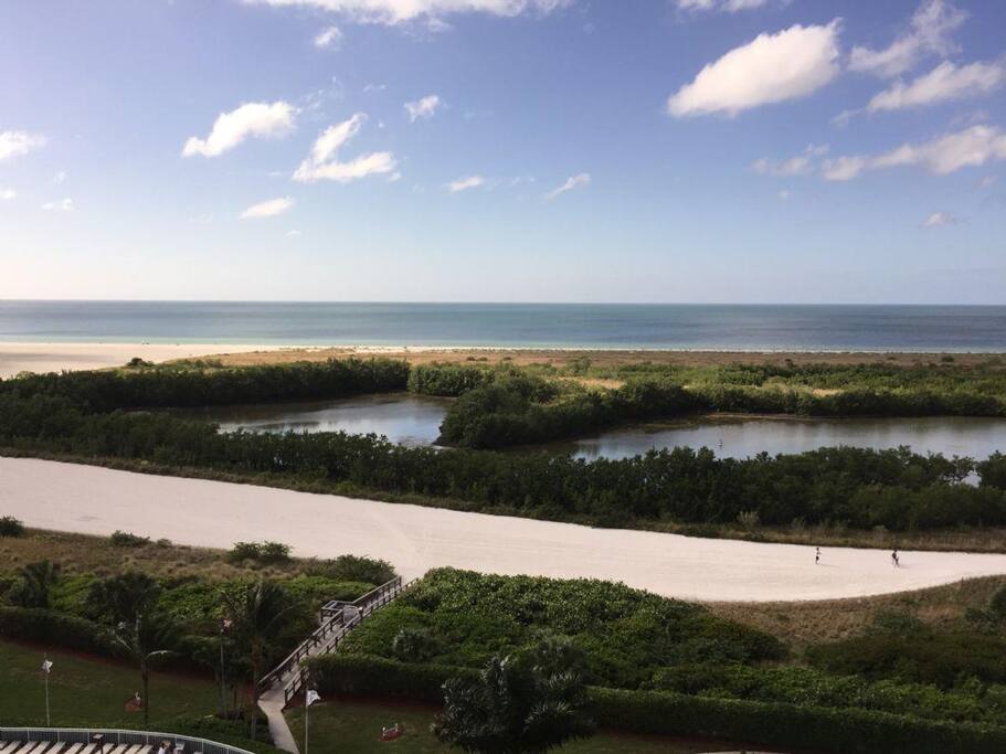 Beach view
