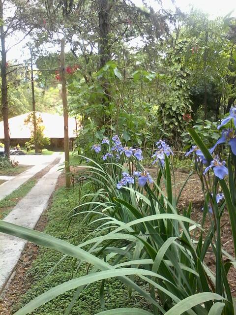 Rustic Chácara, 5Km from Pampulha