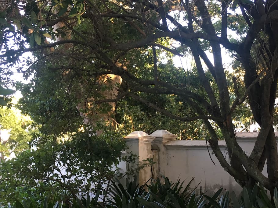 the walled garden