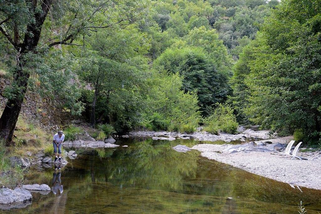 La Sure au pied du moulin