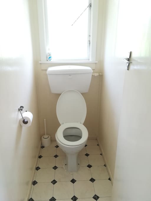 Separate toilet from shower