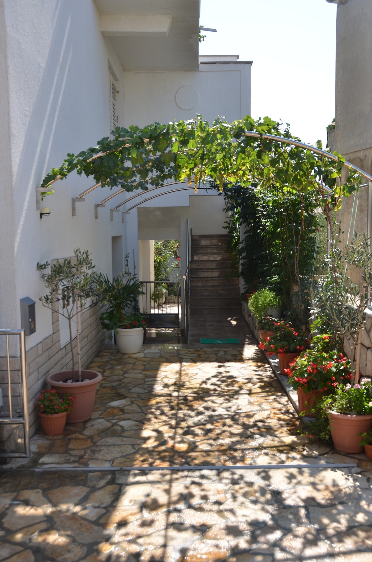 A stone pathway leads towards a stairway framed by a canopy of greenery. Potted plants are placed along the sides, adding a touch of nature. Sunlight creates dappled shadows on the ground, enhancing the inviting entrance to the building.