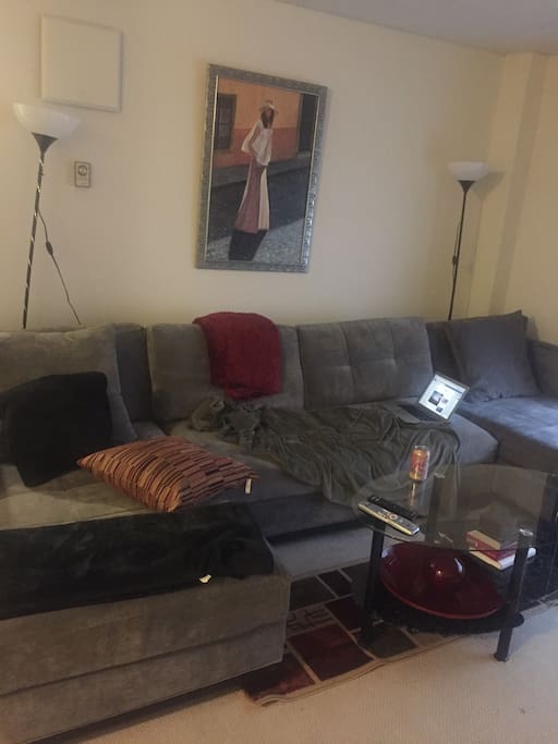 Other living room couch. Middle section opens up.