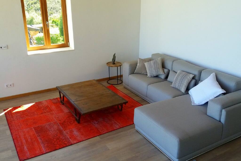 the spacious living area