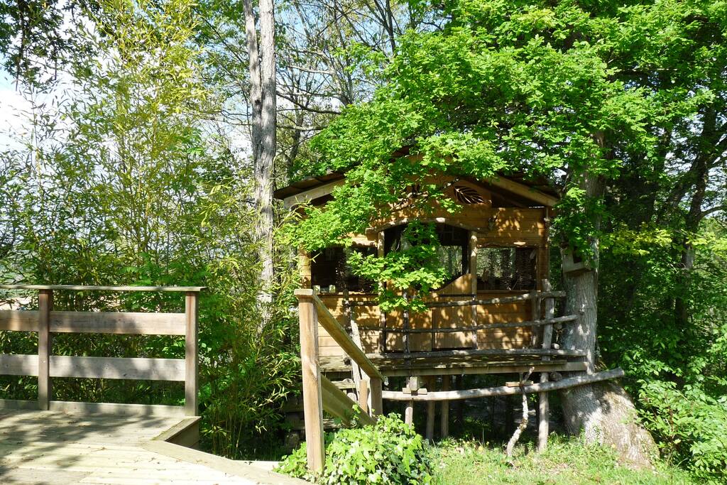 La cabane dans les arbres pour les enfants