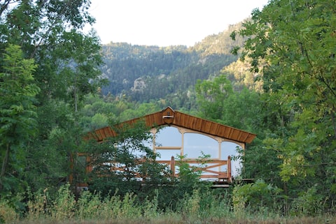 Love nest in the forest