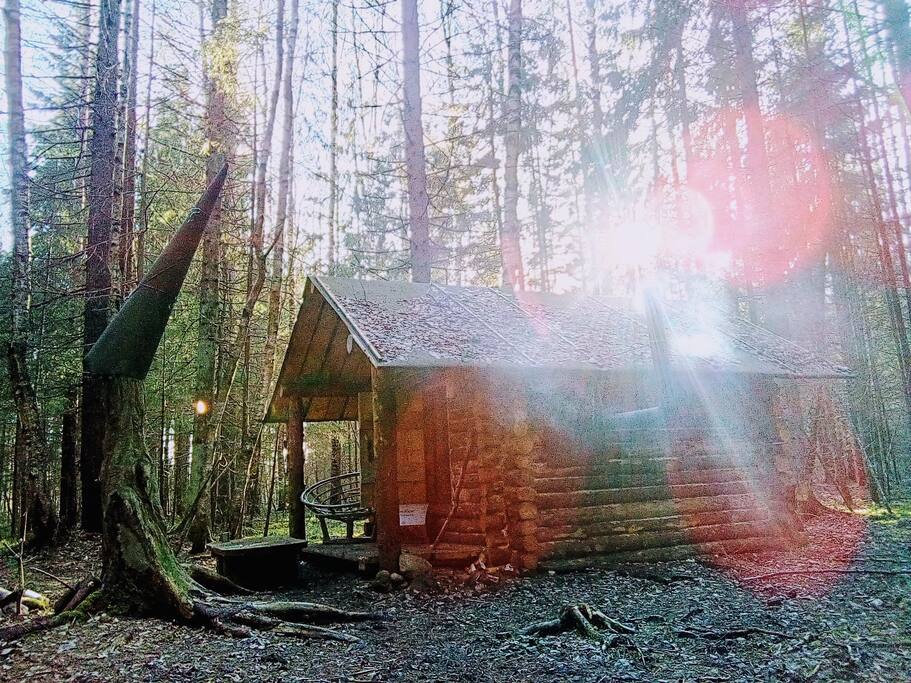 Welcome to the Cabin in the Woods