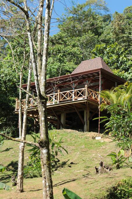 Because this house is high of the ground the wildlife is all around you.