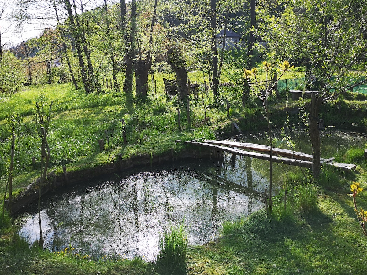 A serene pond is nestled among lush greenery, surrounded by trees and vibrant grass. A wooden pathway leads to the water's edge, enhancing access to the tranquil setting. Sunlight filters through the leaves, casting soft reflections on the pond's surface.