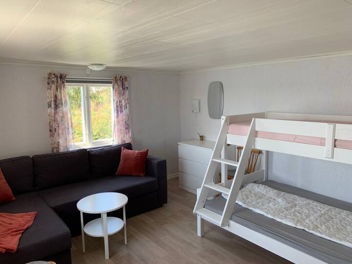 חדר שינה/סלון. ספה נפתחת ומיטת משפחה.