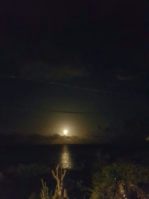 moon over the see