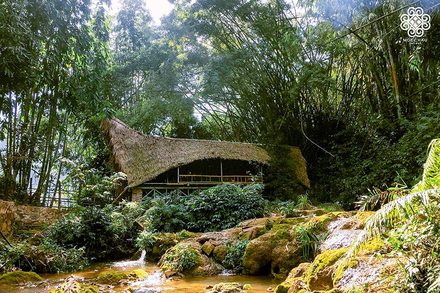 A rustic accommodation features a thatched-roof structure surrounded by lush greenery and native plants. A small stream flows nearby, enhancing the natural setting. Sunlight filters through the trees, illuminating the serene atmosphere of the retreat.