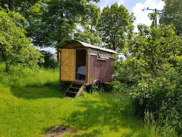 Peaceful Cotswold Shepherds Hut