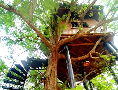 Unique Tree House two floors- Jaywa Lanka Tangalle