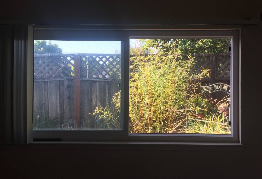 Bedroom window into side yard
