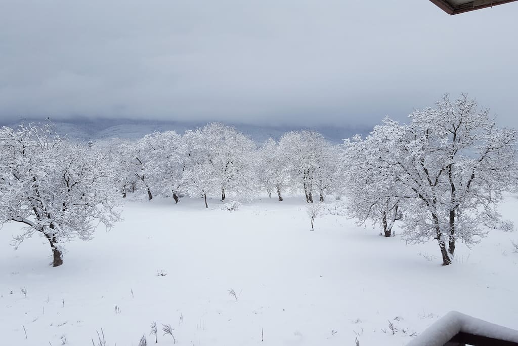 Balcony view winter