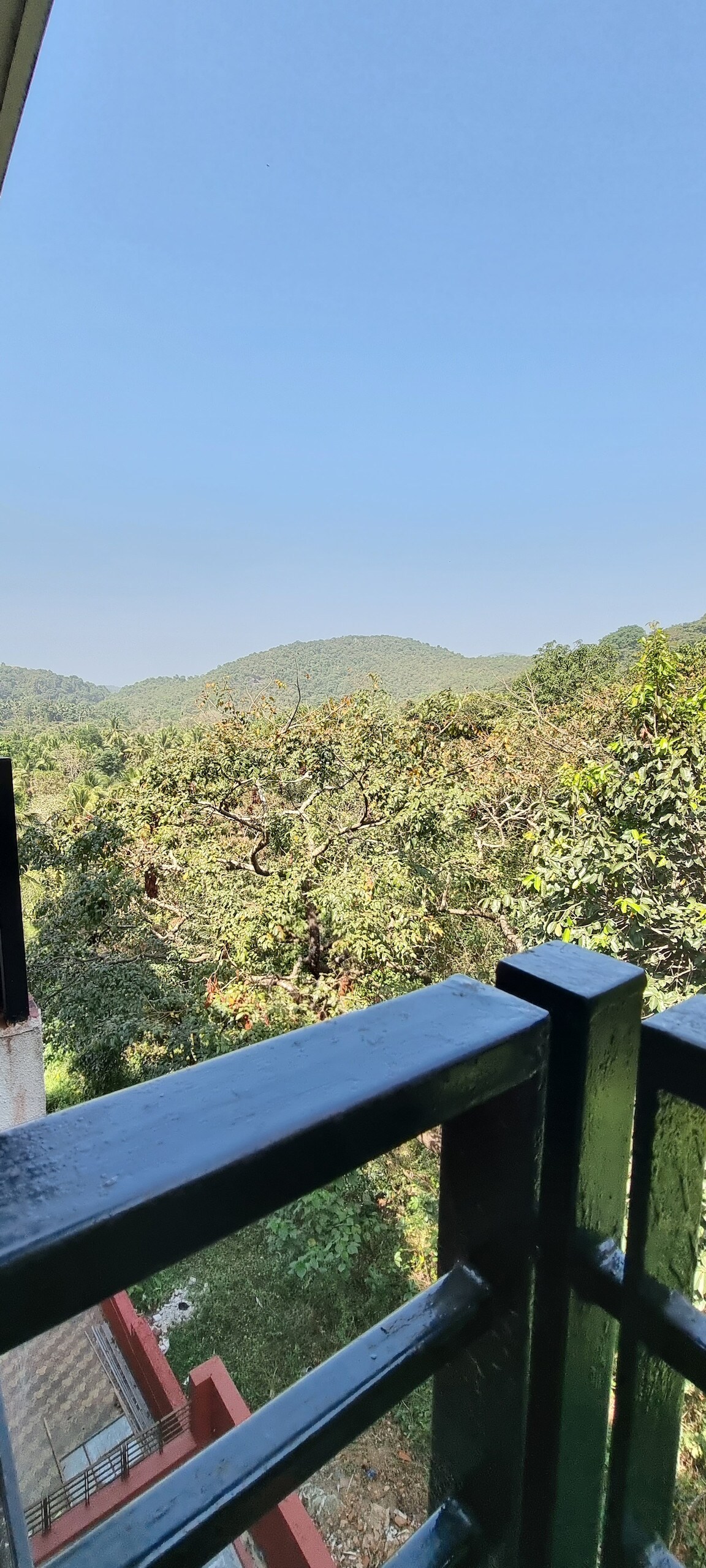 A view from the balcony reveals lush green trees and rolling hills under a clear blue sky. The natural landscape provides a serene backdrop, inviting moments of relaxation and connection with nature.