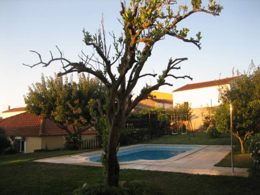 Piscina privada - Private pool - Piscine privée