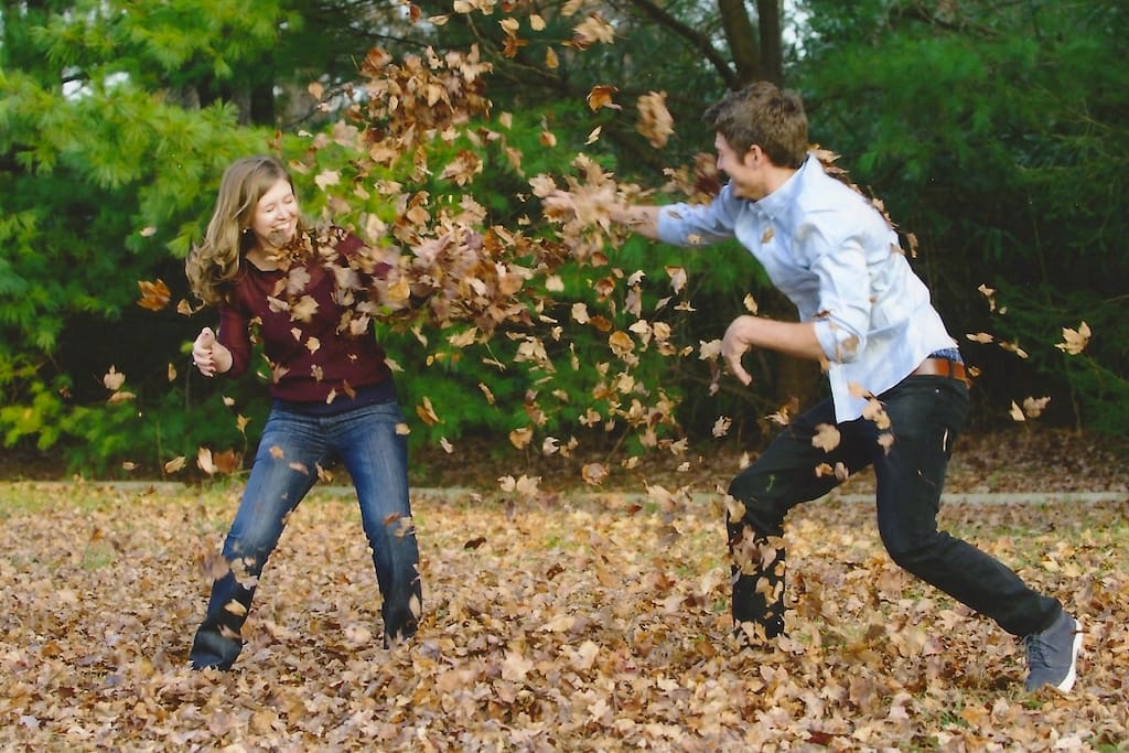 Fall leaves