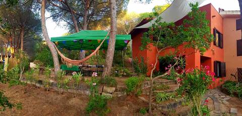 Indipendent villa Is Arenas village, pinewood&sea