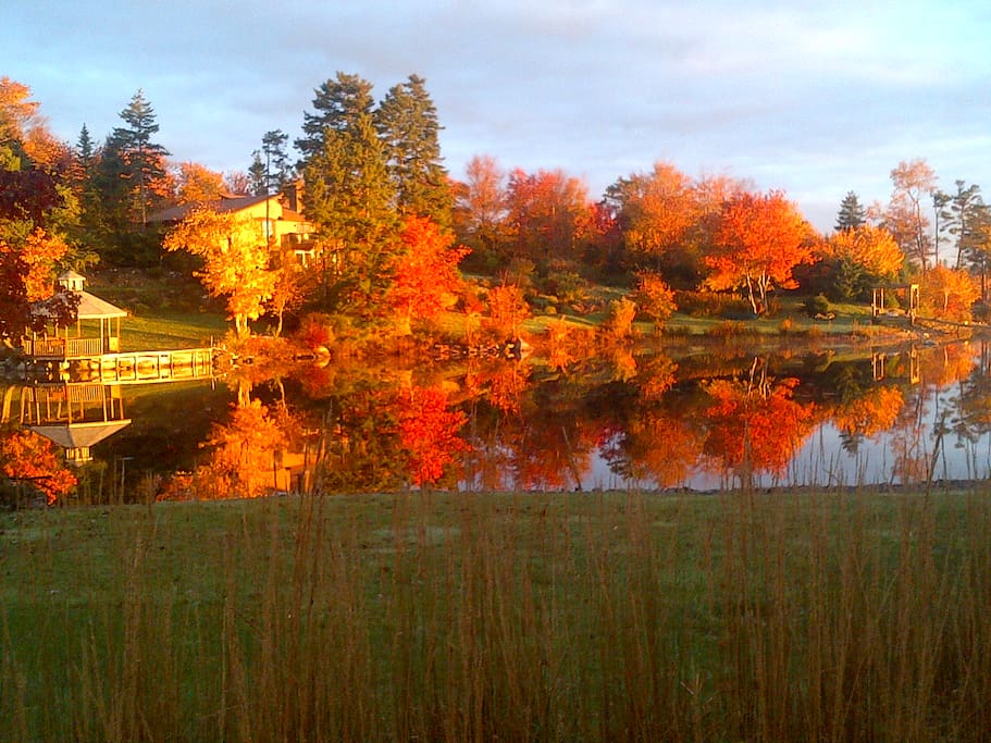 Fall view from house
