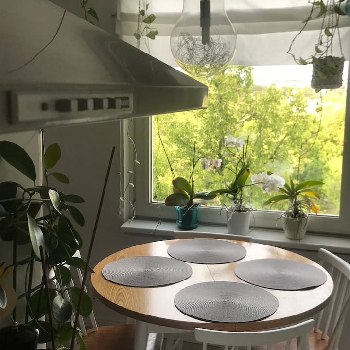 Ylimmän Kerroksen Tilava Ja Valoisa Kaksio - Turku
