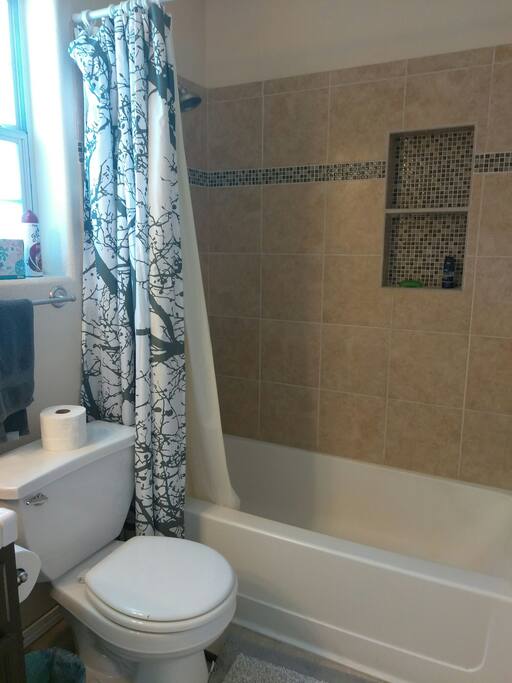 guest bathroom/shower