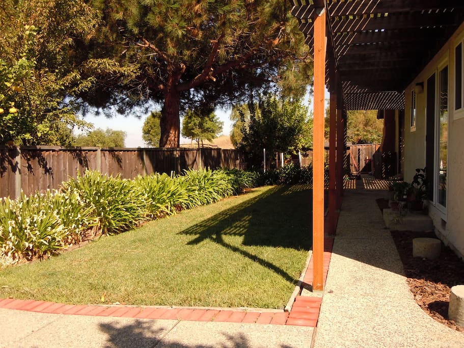 Private shaded backyard