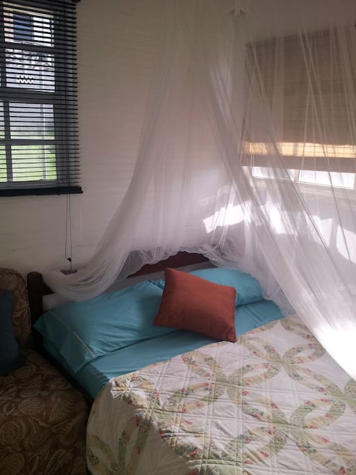 Bed with mosquito net.