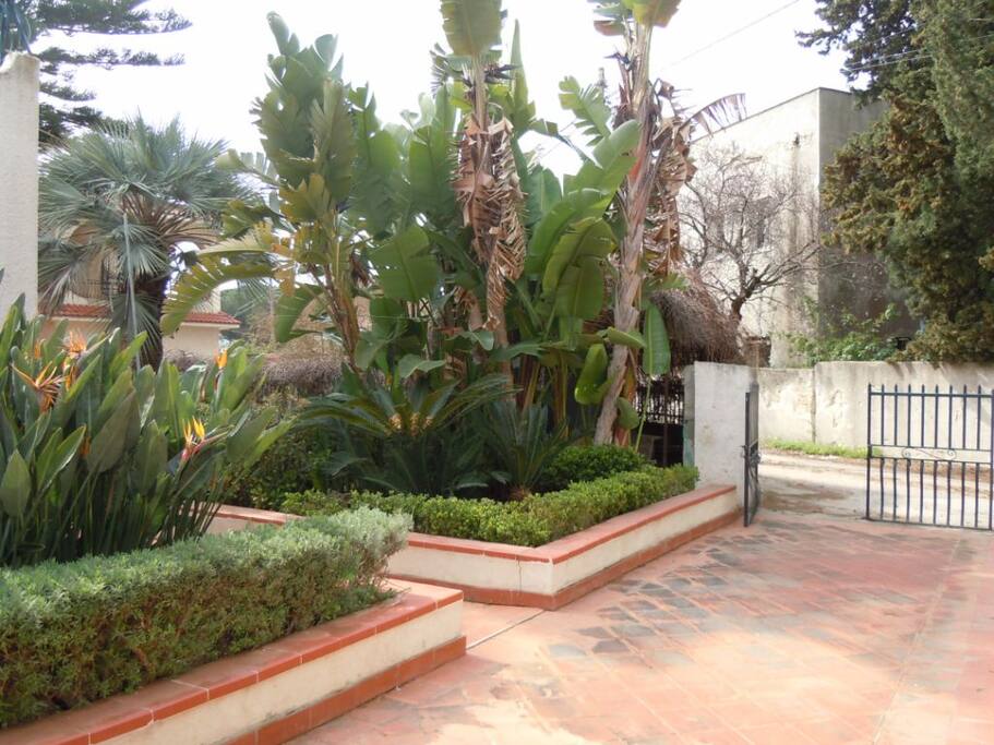 esterno