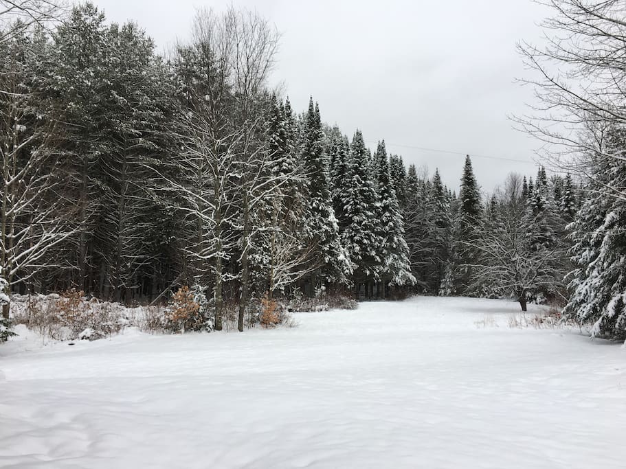 This is our back year. You can follow a snowshoeing/cross country ski trail through here.